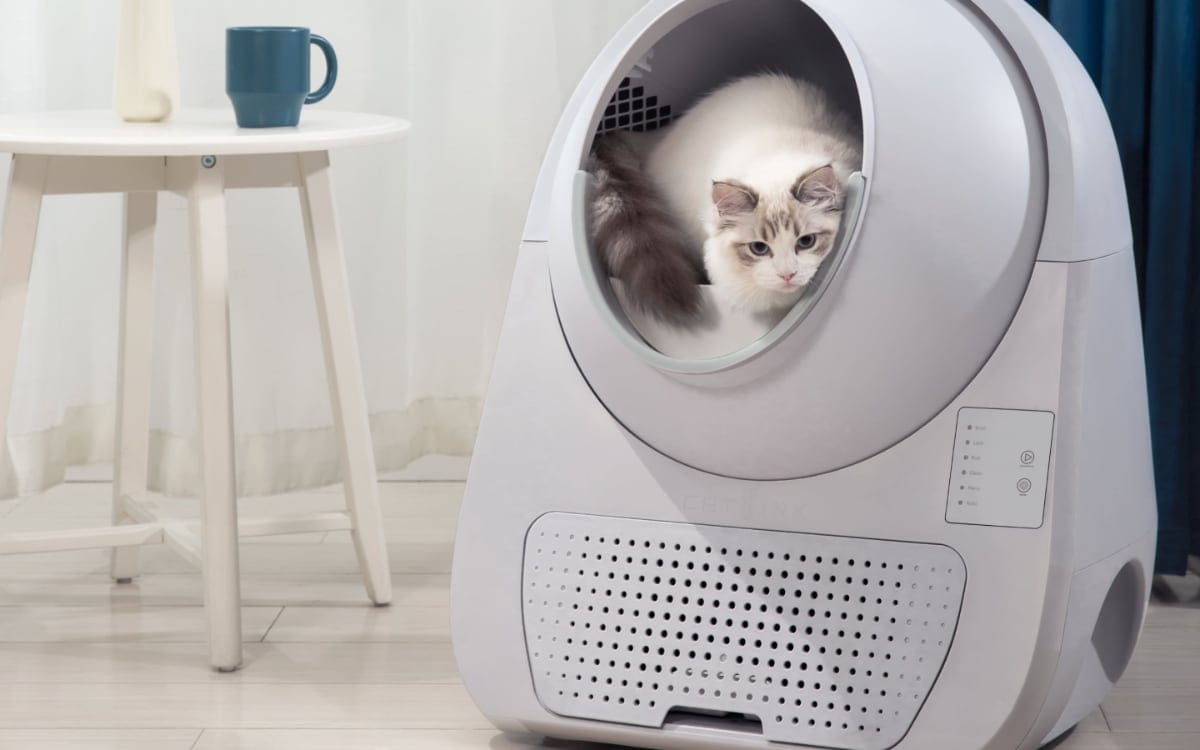 CATLINK Scooper Young automatic cat litter box