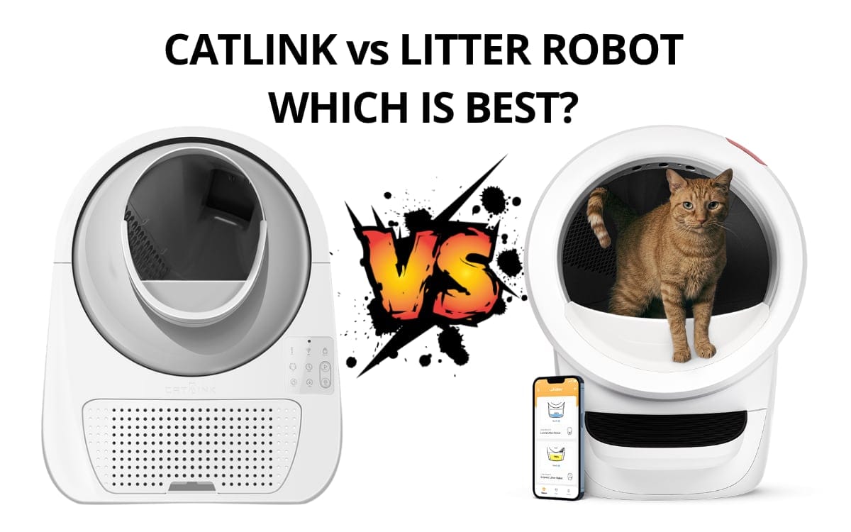 Catlink Luxury Pro vs Litter Robot - Which Is Best?