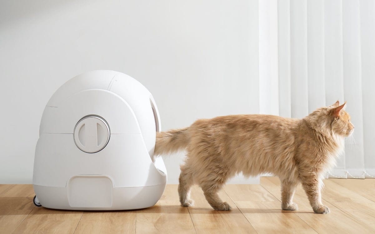 Catlink Scooper Litter Box