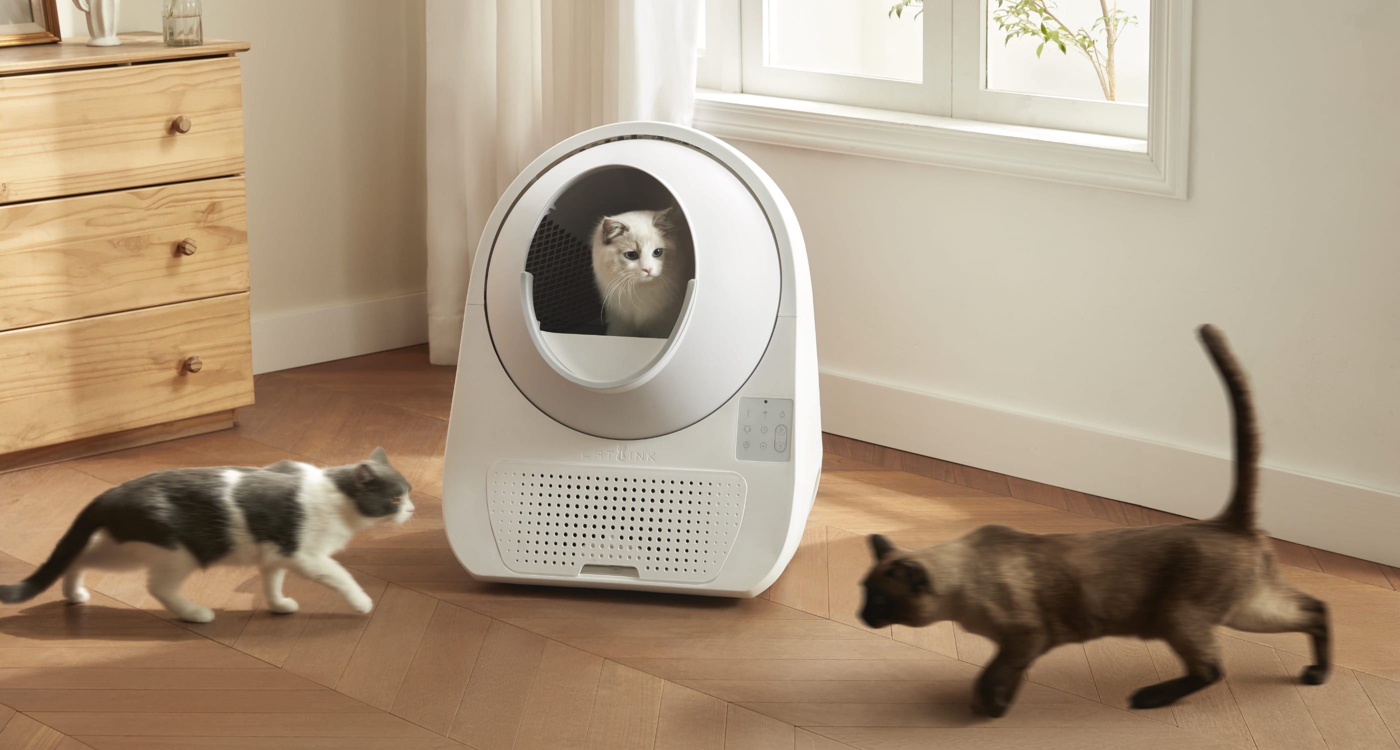 CATLINK Automatic Self Cleaning Litter Robot