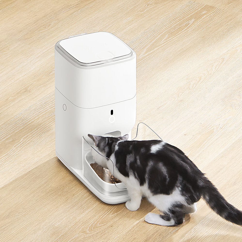 Catlink Automatic Pet Feeder