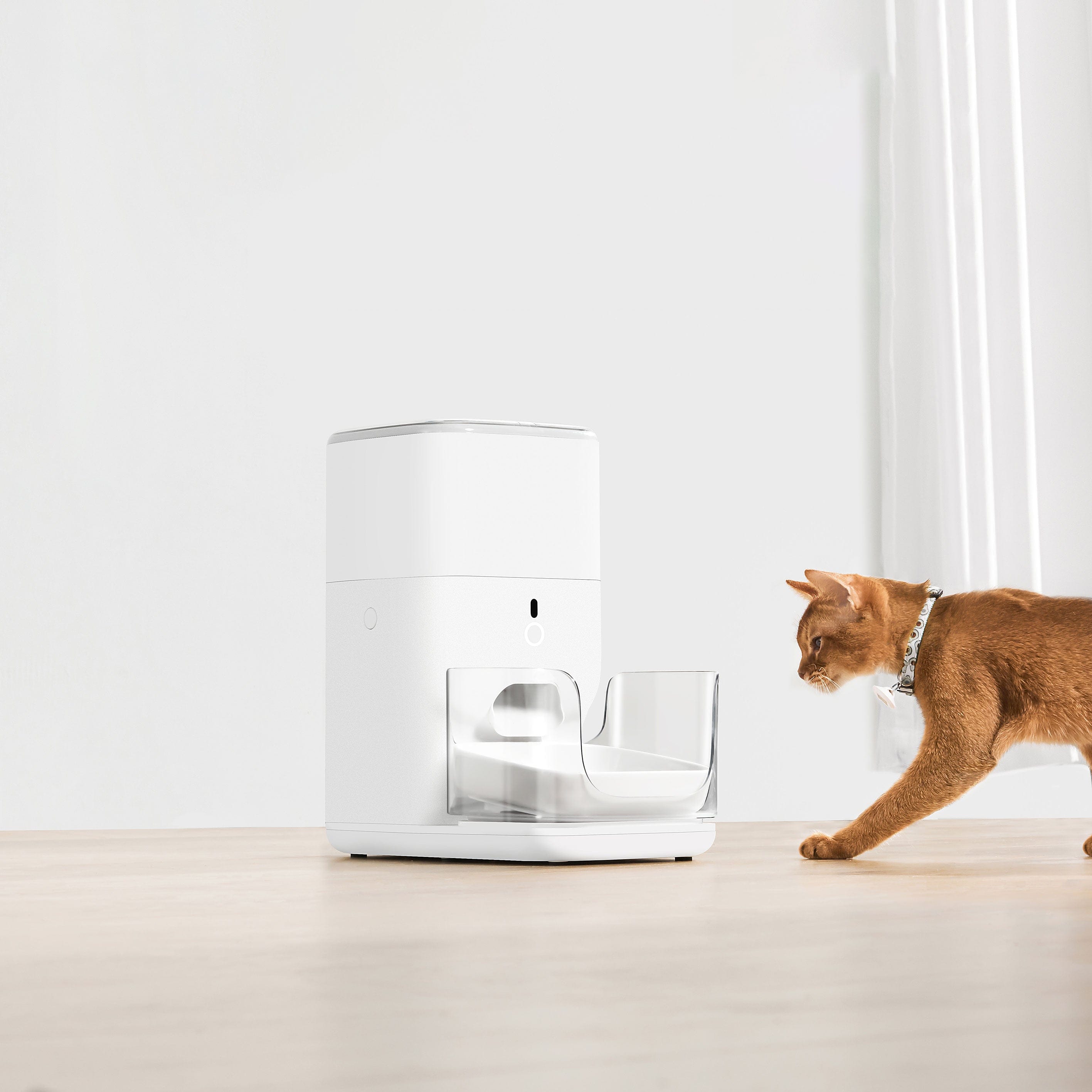 Catlink Automatic Pet Feeder