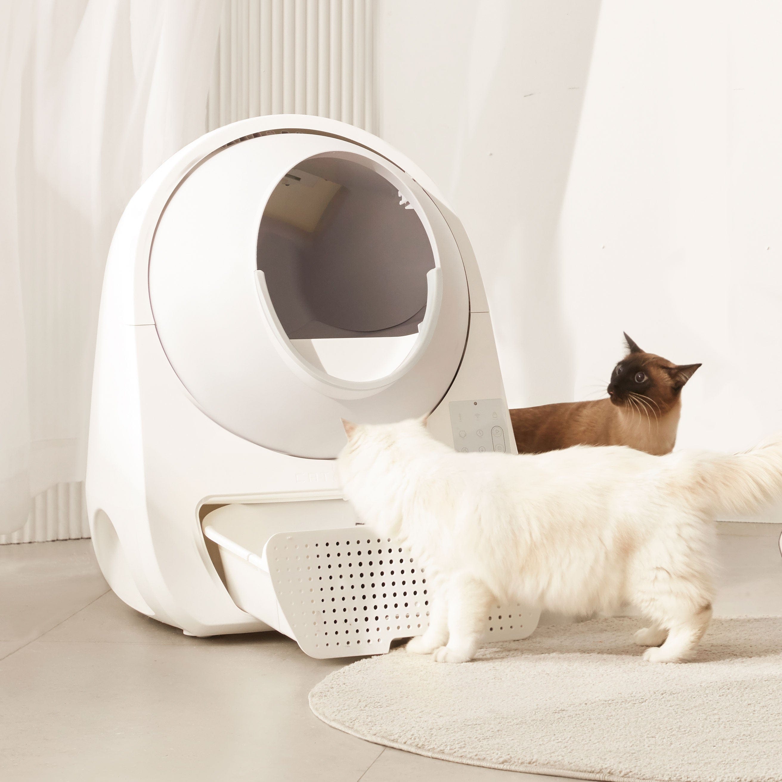 Catlink New Zealand Catlink Scooper Luxury Pro and Ramp Bundle Litter Box