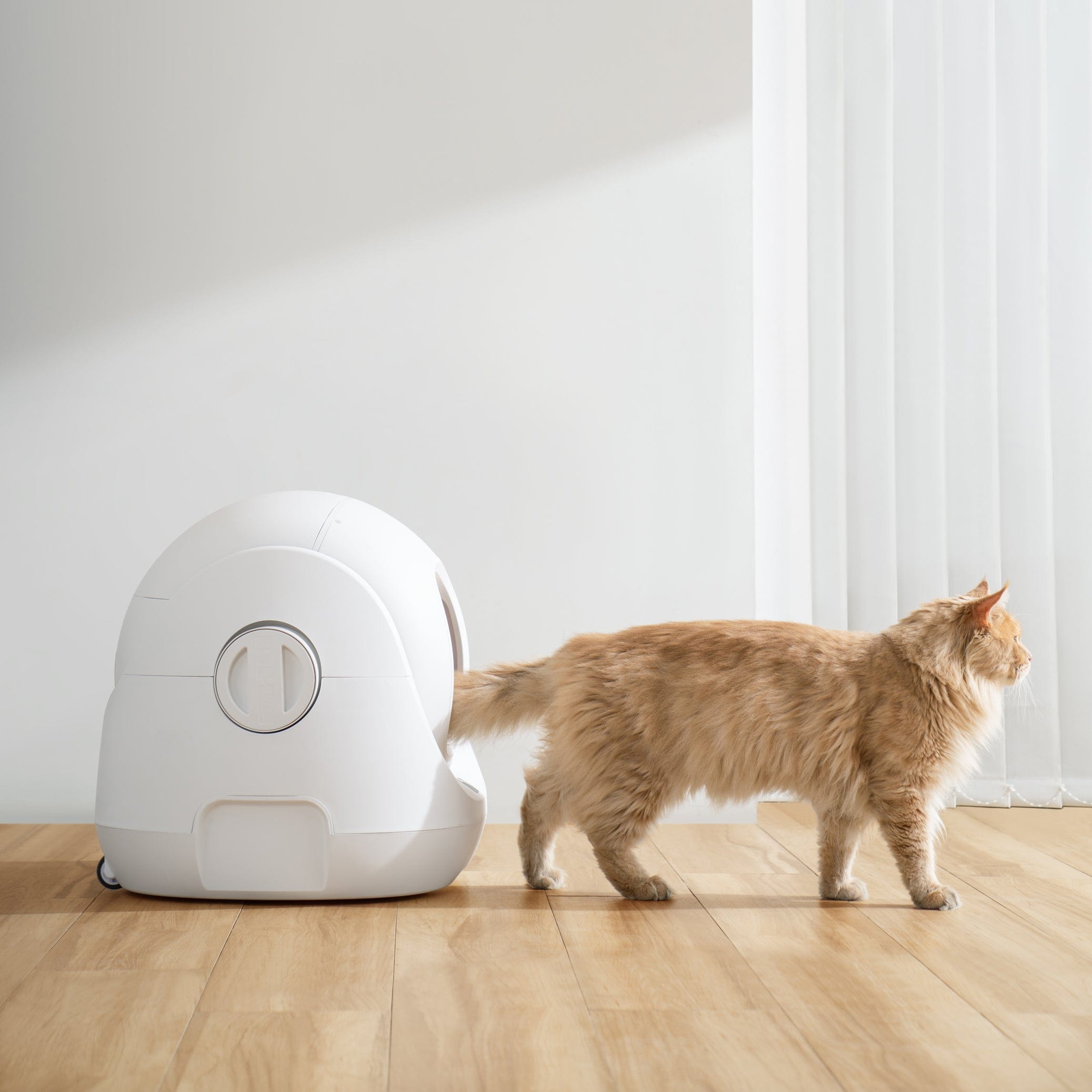 Catlink Scooper SE Automatic Self Cleaning Cat Litter Box Catlink New Zealand