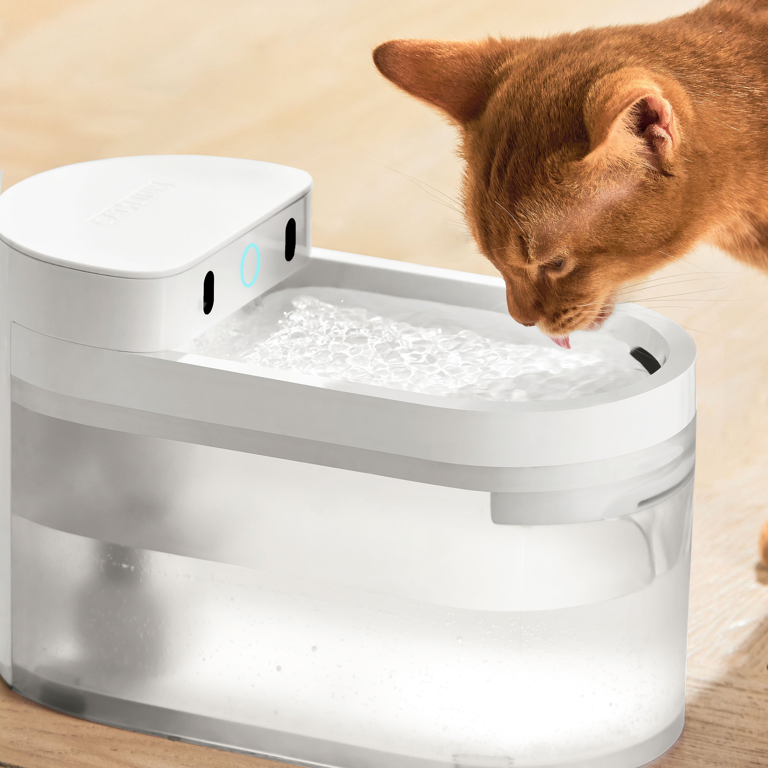 Catlink Smart Water Fountain - Wireless