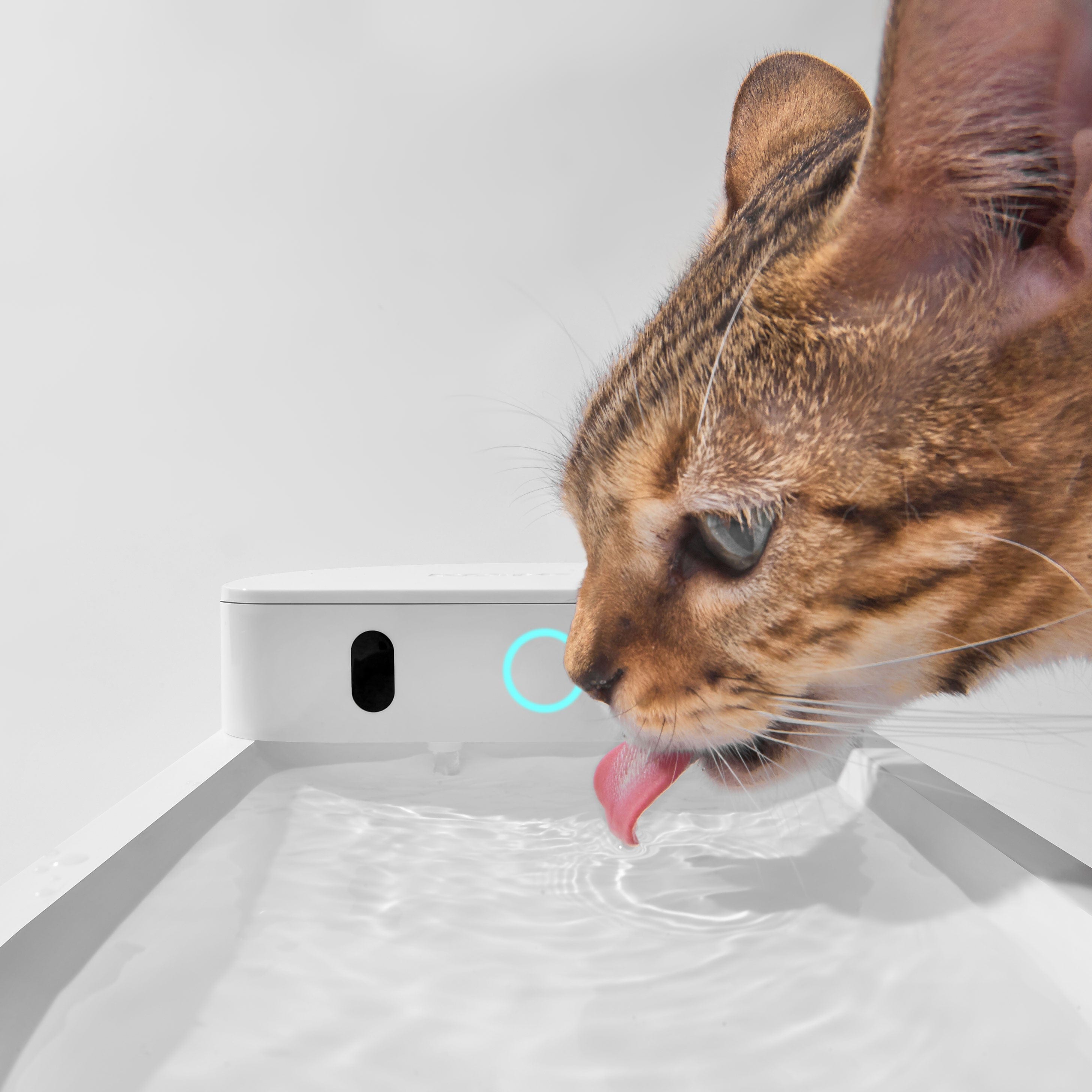 Catlink Smart Water Fountain - Wireless