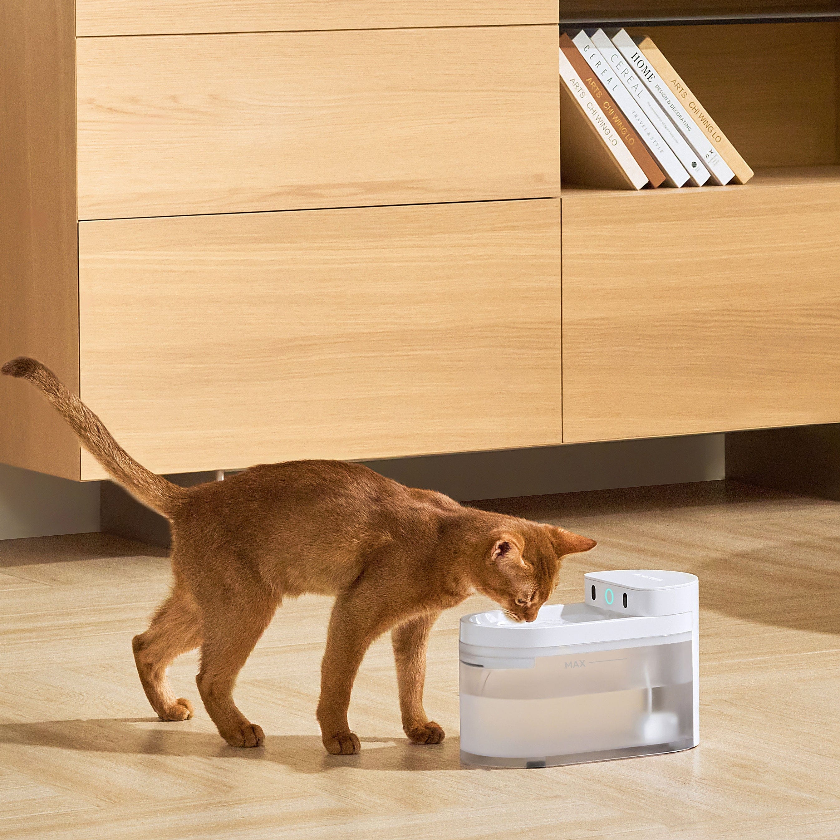 Catlink Smart Water Fountain - Wireless