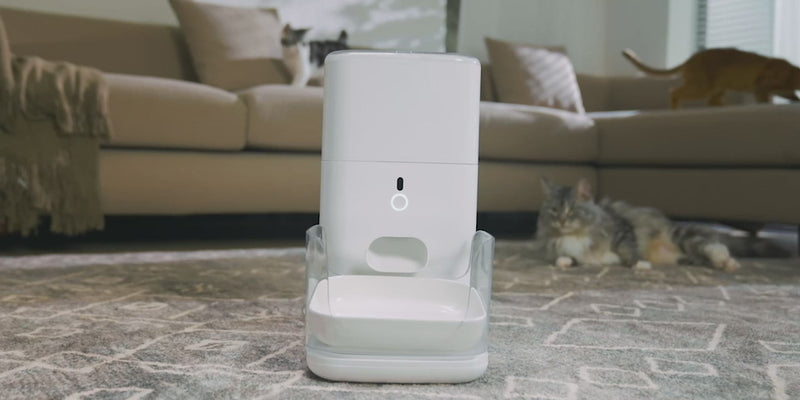 CATLINK Smart Feeder